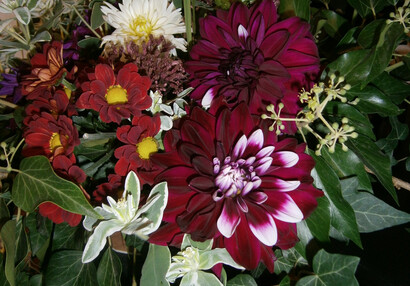 Indian summer - Dahlias, Summer floral exhibition 2015