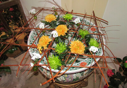 Kamelien und Chrysanthemen, Boten des Fernen Osten, Frühlingsblumenausstellung 2015