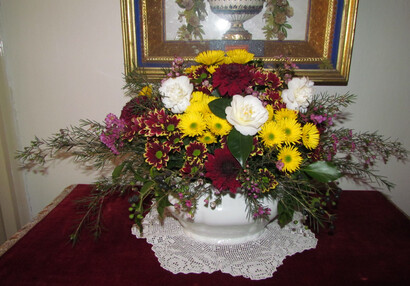 Camellias and Chrysanthemums, Spring flower exhibition 2015