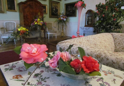 Kamélie a chrysantémy, poslové dálného východu, jarní květinová výstava 2015