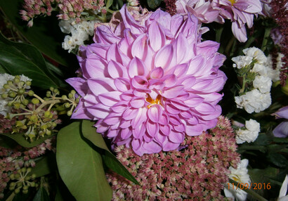 Indian Summer at the Castle, Summer Flower Exhibition 2016