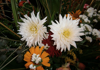 Indian Summer at the Castle, Summer Flower Exhibition 2016