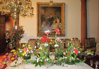 Kamelien, Boten des Frühlings, Frühlingsblumenausstellung 2016